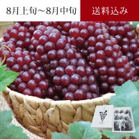 髙橋さんの完熟デラウェア