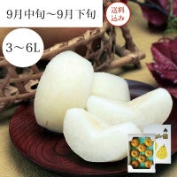 あらや梨 豊水 5～8玉 約3kg 9月中旬～9月下旬お届け
