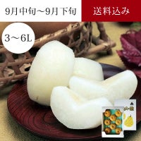あらや梨 豊水 5～8玉 約3kg 9月中旬～9月下旬お届け