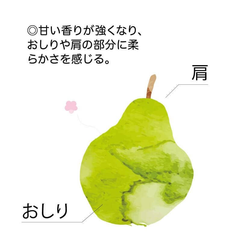 大値下げ●ル レクチェ洋梨ラ.フランス赤絵鉢図【静物】長井亮之 画伯●タトウ共箱 貴婦人の贈り物 ～ラ・フランス ＆ ル・レクチェ～ 山形県産洋梨詰合せ
