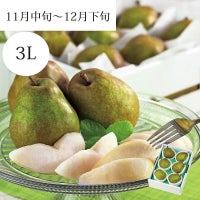 清川屋のラ・フランス 3L 6玉入-イメパケ