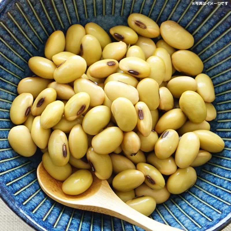 乾燥秘伝豆 山形県産秘伝豆乾物乾燥豆｜清川屋