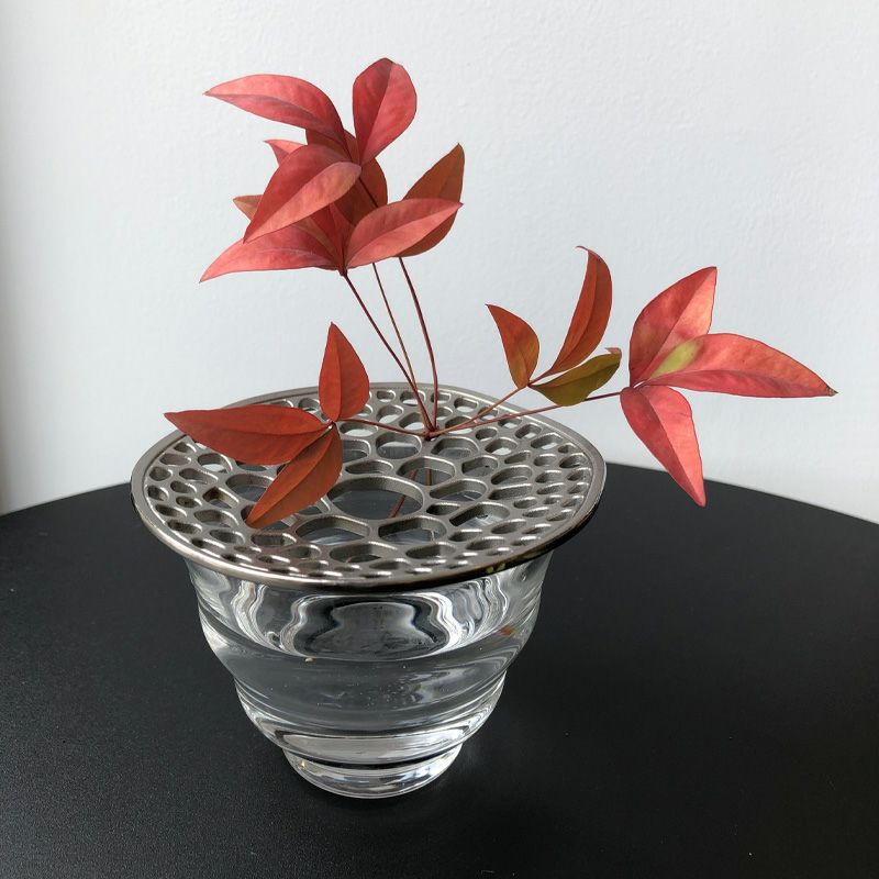 あやめの茎_イメージ画像1