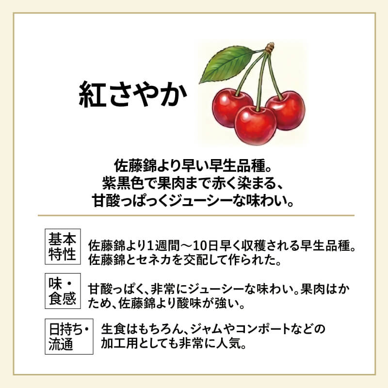 ぺぺボン　家庭用紅ぷり4kg+特選ポンカン4kgぐるりん 早期予約販売🍒20箱限定〉〈超大玉の新品種〉〈厳選大玉3L～4L玉のみ