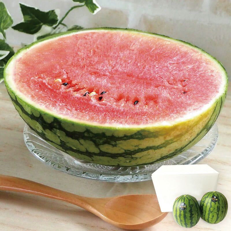 小玉スイカ ピノガール_イメージ画像