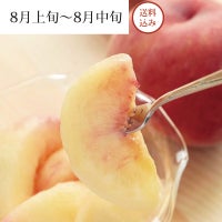 太陽のあかつき_イメージ画像