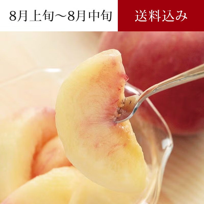 太陽のあかつき_イメージ画像