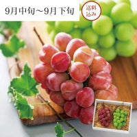 極みのぶどう マイハート＆シャインマスカット 各1房 合計約1.1kg 9月中旬～9月下旬お届け