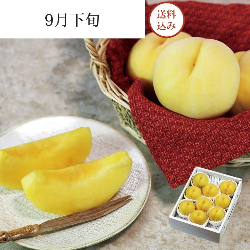 陽だまり育ち 光月 桃 9～11玉 約3kg 9月下旬お届け