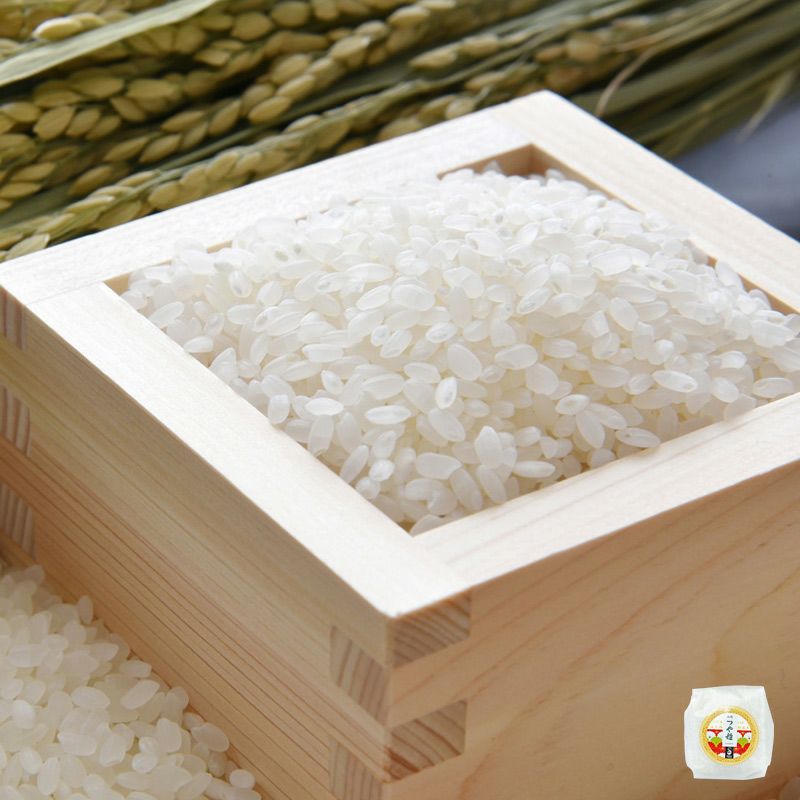 環境配慮米 つや姫 5kg 25年(令和7年度産)庄内米 山形県のお米｜清川屋