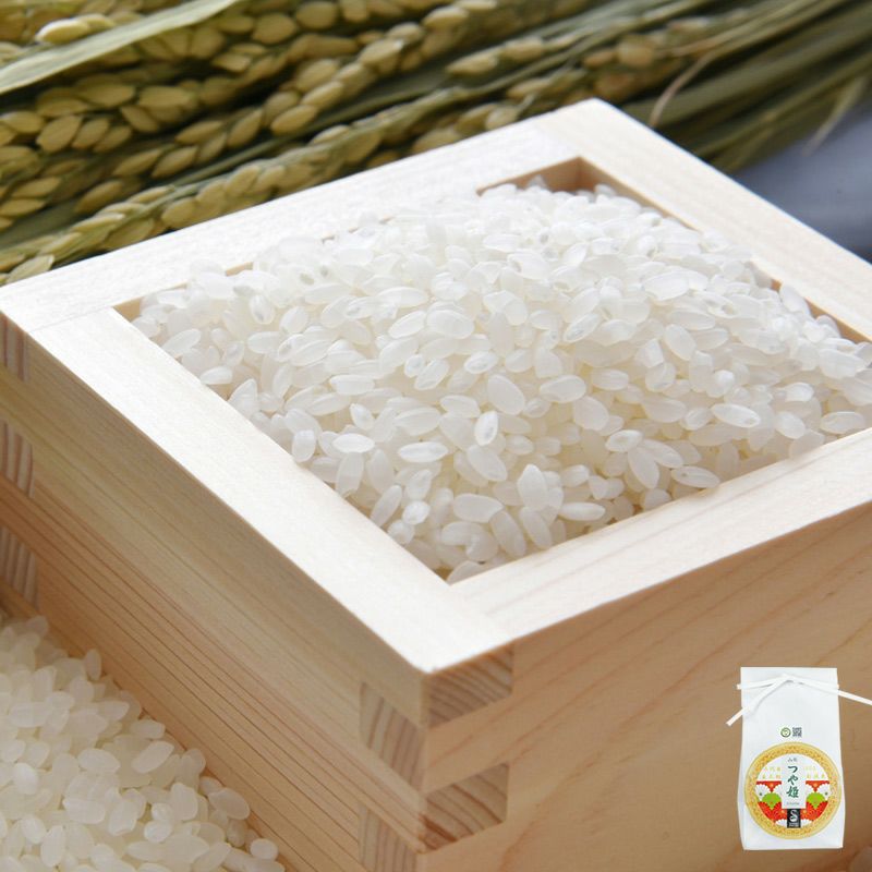 令和4年　山形県庄内産　つや姫中粒米　白米25kg 環境配慮米 つや姫 5kg 25年(令和7年度産)庄内米 山形県のお米｜清川屋