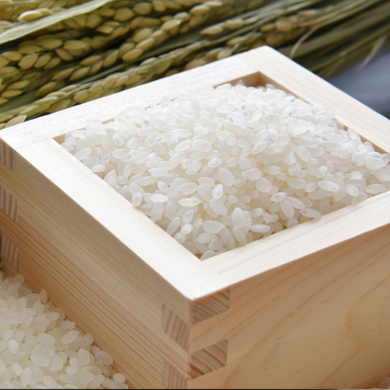 環境配慮米 つや姫 5kg 25年(令和7年度産)庄内米 山形県のお米｜清川屋