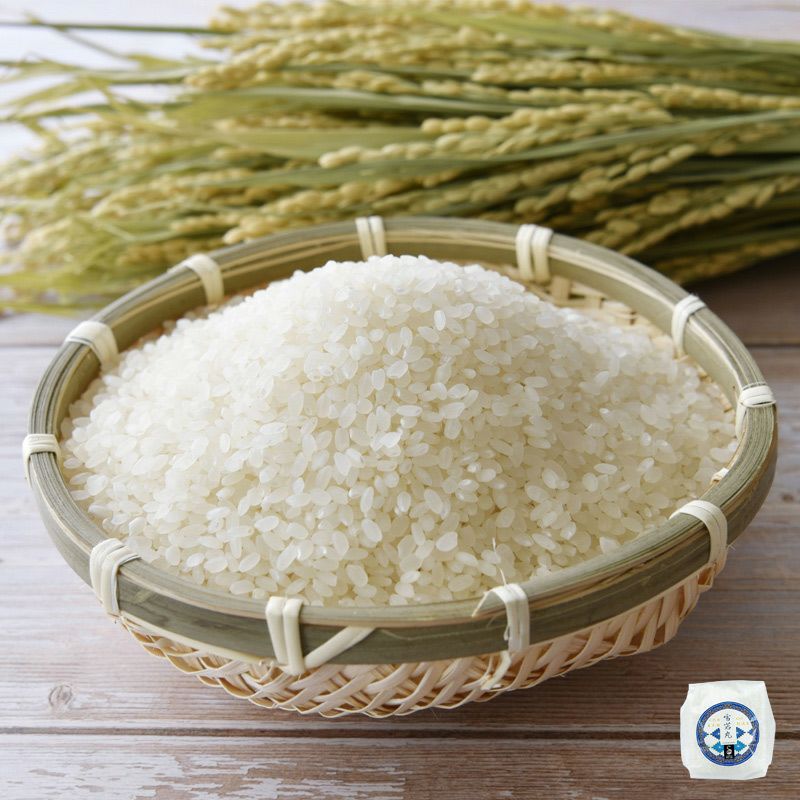 雪若丸 山形県産ブランド米 の全国通販は清川屋