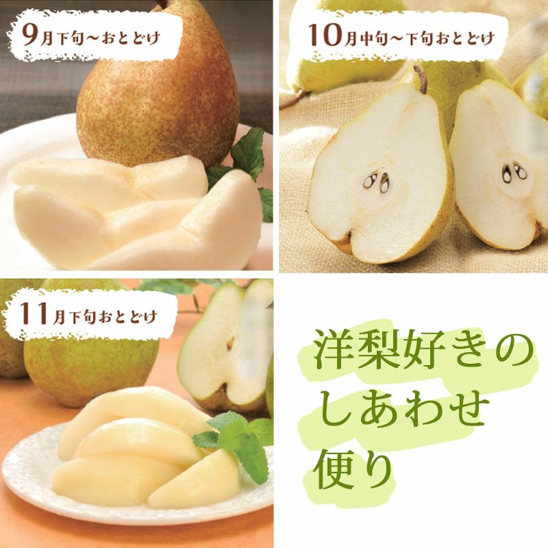 西洋梨 (ラ・フランス以外) | 清川屋