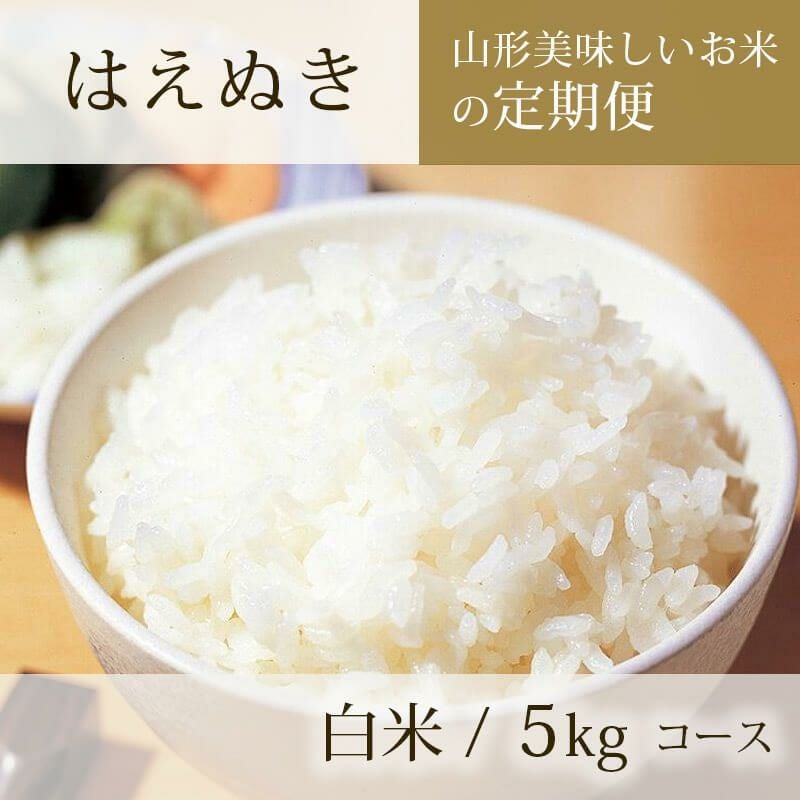 伝説の庄内米 雪若丸 10kg （5kg×2） 25年(令和7年度産)庄内米 山形県