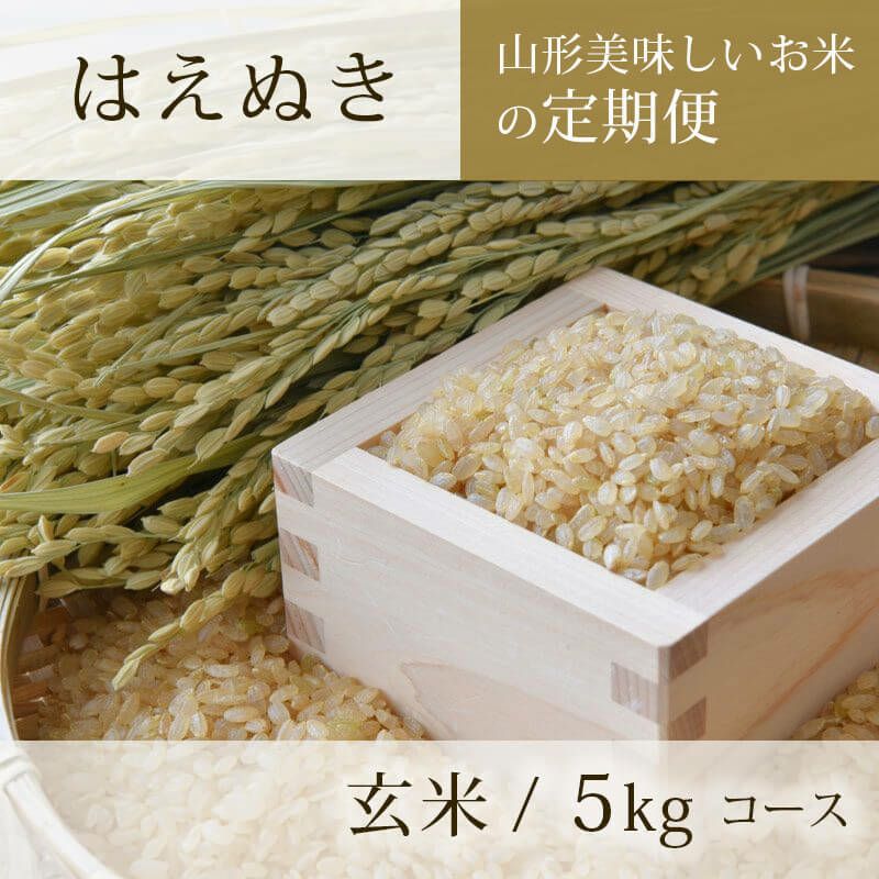 定期便〉 玄米 つや姫 5kgコース 山形県のお米｜清川屋