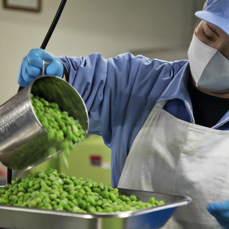 だだっ子製造イメージ1