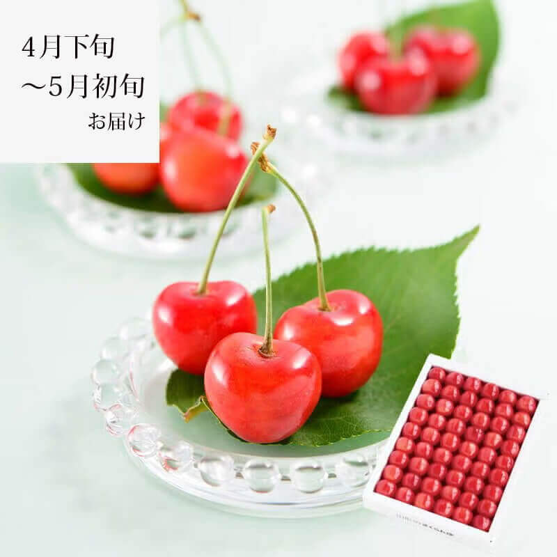 温室そだち 佐藤錦 職人詰め L 300gイメージ1