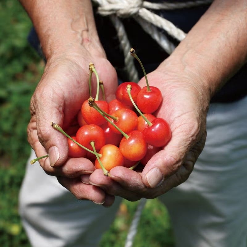 クロネコメンバーズの登録をおすすめします。