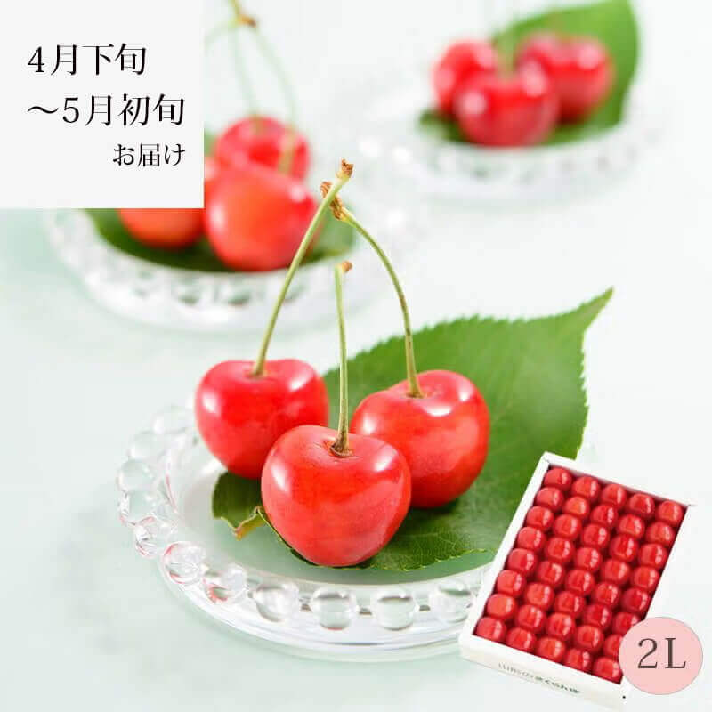 Petitjelly Cherry プチジェリチェリー 山形県産さくらんぼスイーツ