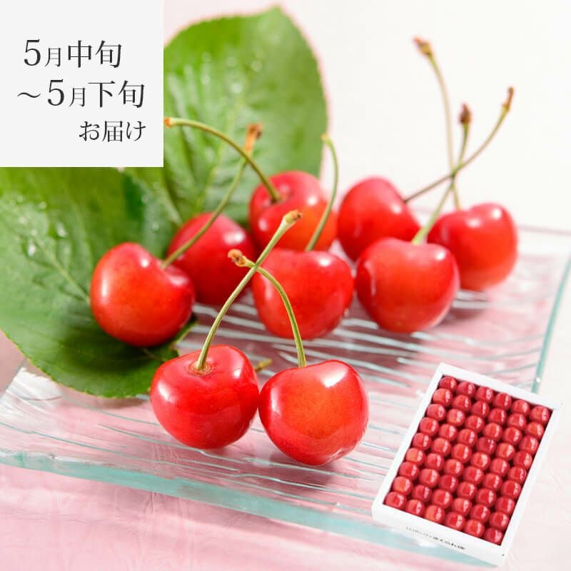 温室そだち 佐藤錦 職人詰め L 300gイメージ1