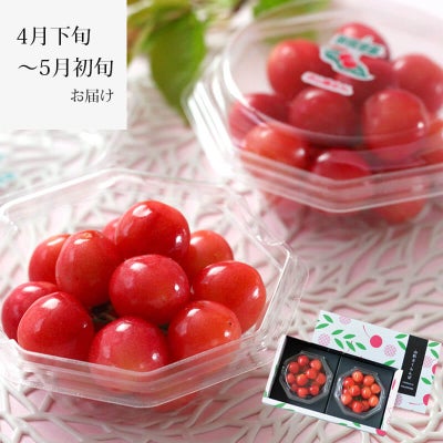 〈4月下旬～お届け〉温室そだち 佐藤錦 L 100g×2パック_イメージ