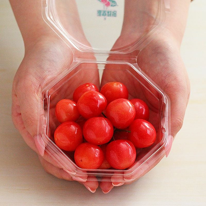 温室そだち 佐藤錦 さくらんぼ L 100g×2パック 4月下旬～5月初旬お届け