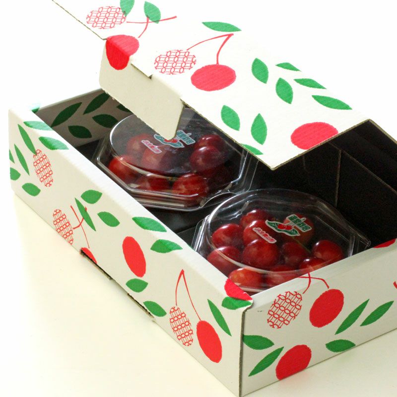 温室そだち 佐藤錦 さくらんぼ L 100g×2パック 4月下旬～5月初旬お届け