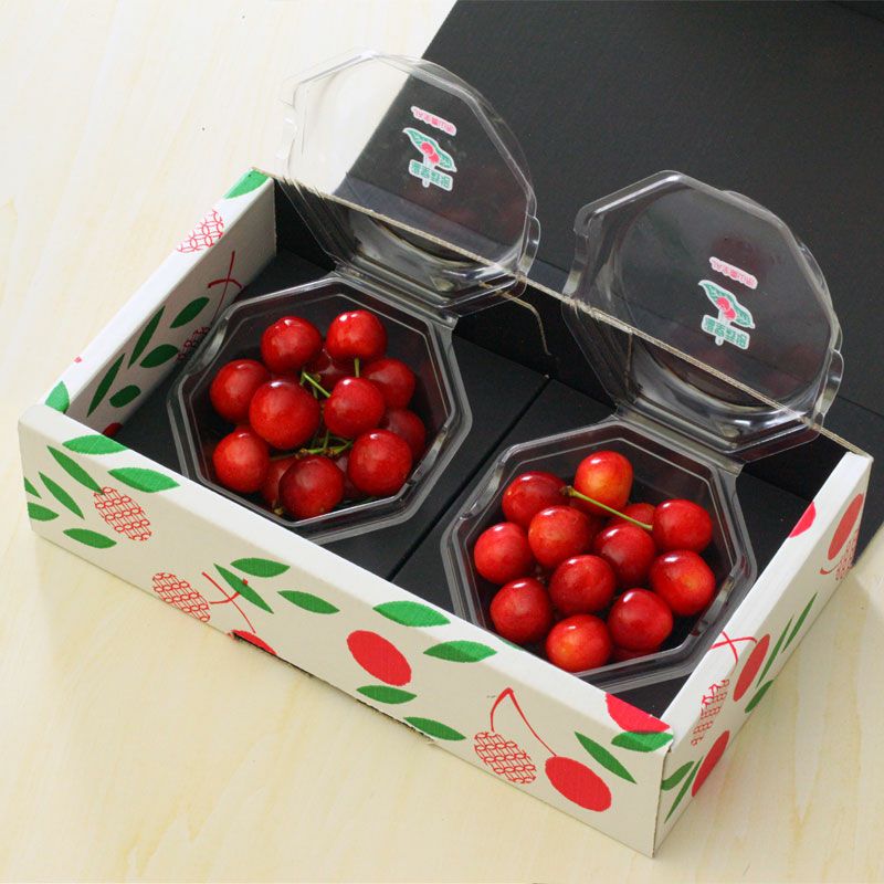 〈4月下旬～お届け〉温室そだち 佐藤錦 L 100g×2パック_イメージ7