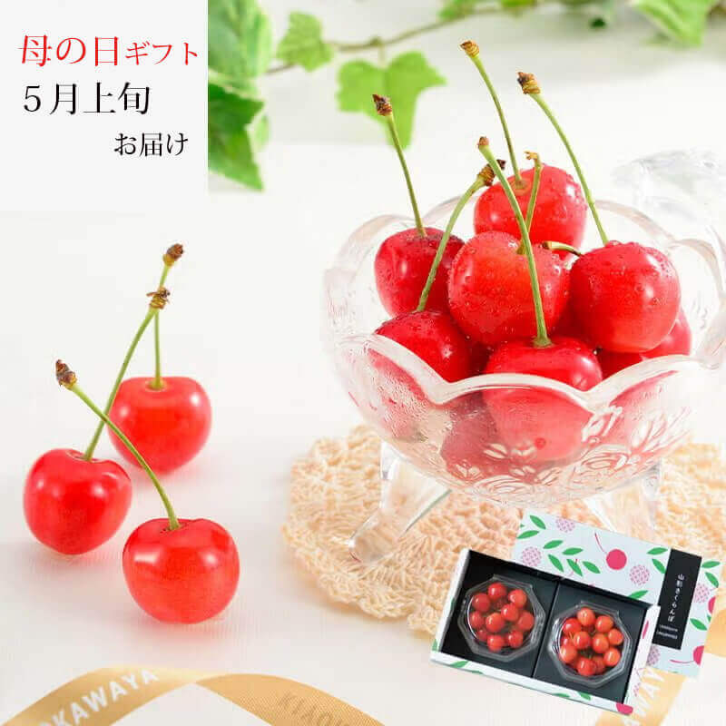 母の日さくらんぼ 佐藤錦 L 100g×2パック 温室そだち 5月上旬お届け