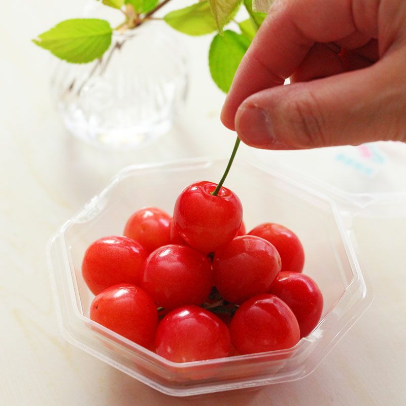 母の日さくらんぼ 佐藤錦 L 100g×2パック 温室そだち 5月上旬お届け