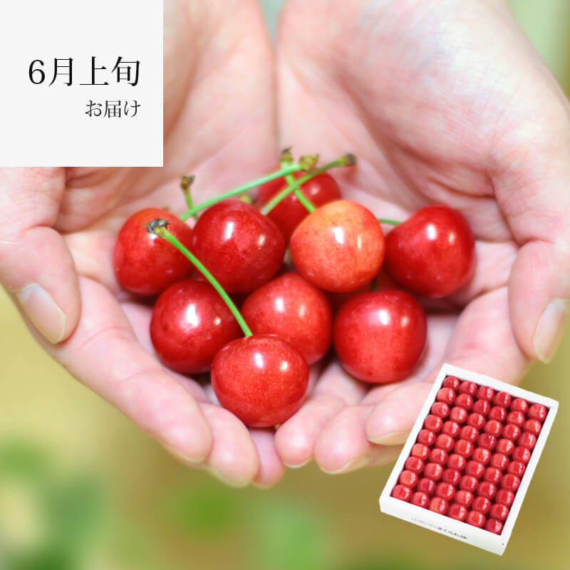 職人詰め L 300g 温室そだちイメージ1