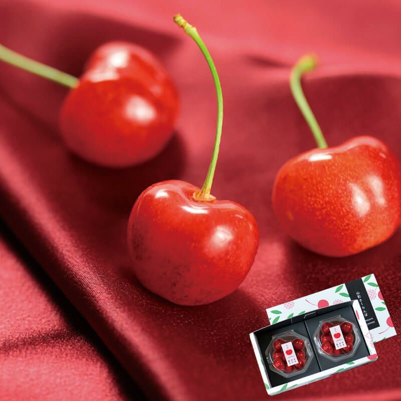 やまがた紅王 3L 100g×2パック 世界最大級の超大玉さくらんぼ｜清川屋