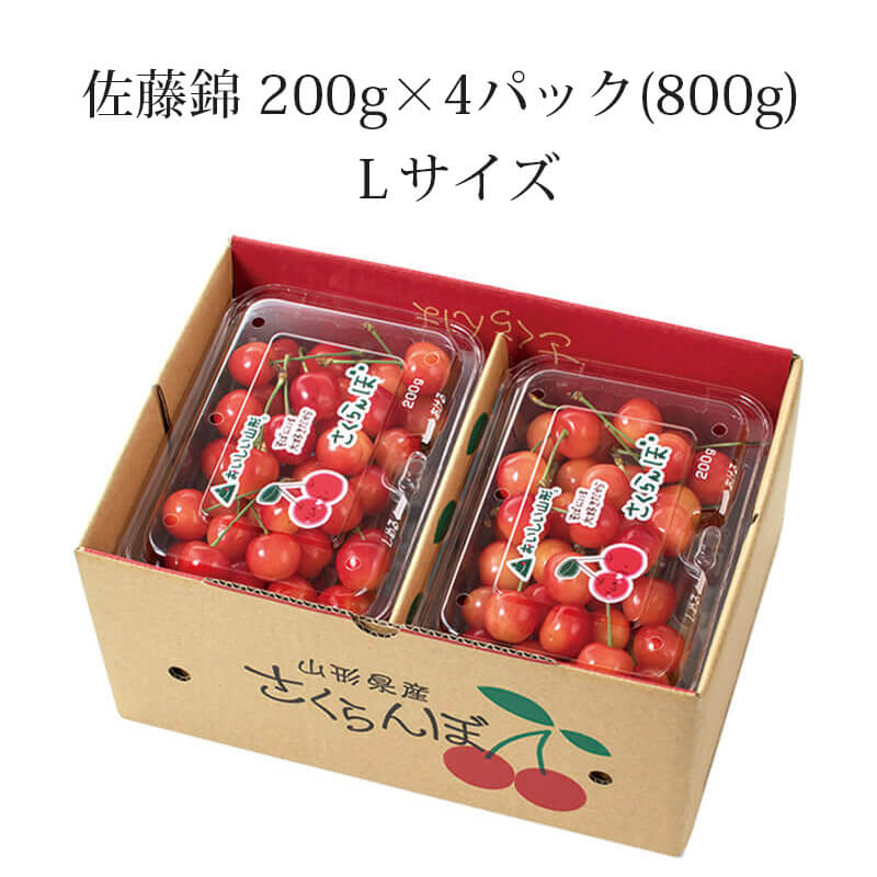 佐藤錦 パック詰め L 200g×4パック 6月中旬～6月下旬お届け 山形