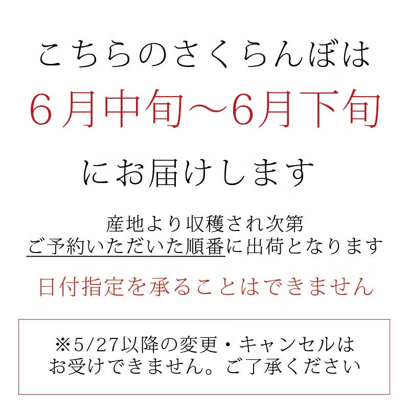 2026さくらんぼ佐藤錦800g｜6月中～下旬｜1.7万箱実績