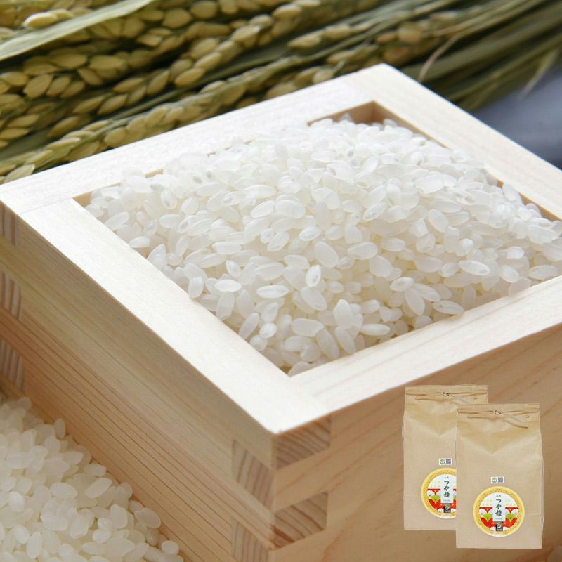 つや姫 山形県産ブランド米 の全国通販は清川屋