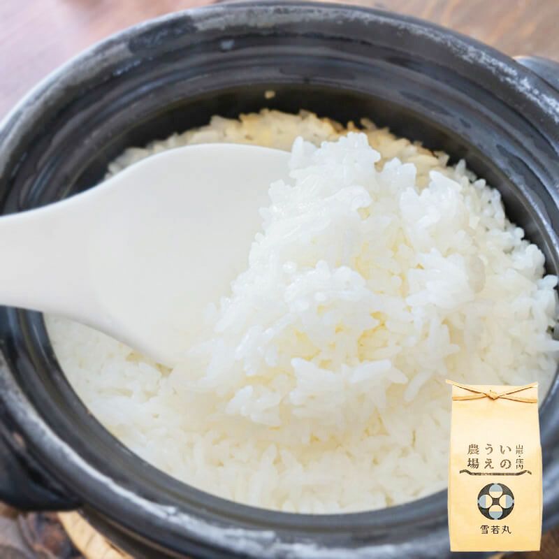 伝説の庄内米 雪若丸 5kg 25年(令和7年度産)庄内米 山形県のお米｜清川屋