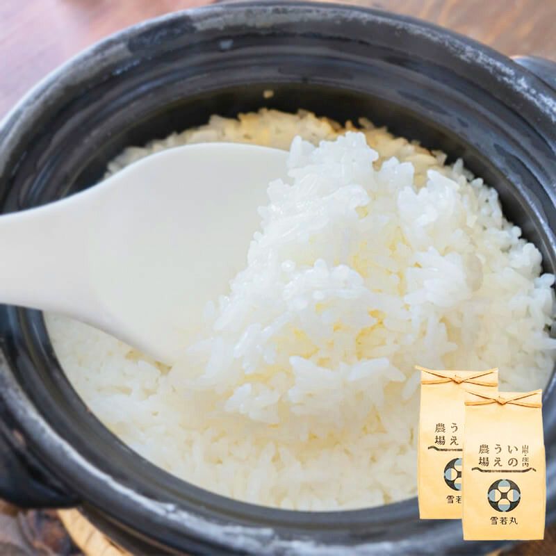 伝説の庄内米 雪若丸 10kg （5kg×2） 25年(令和7年度産)庄内米 山形県