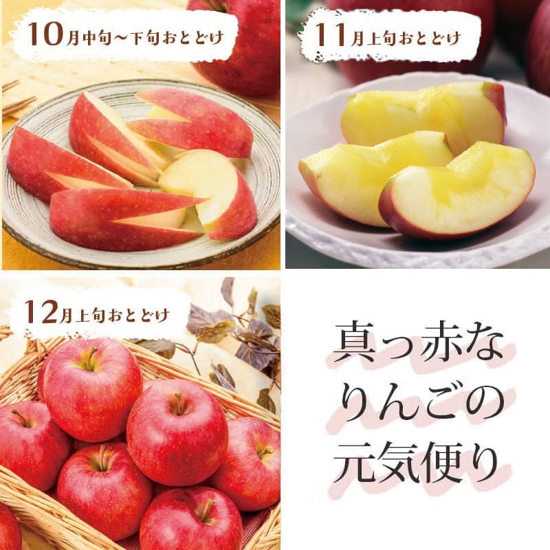 真っ赤なりんごの元気便り3回コース