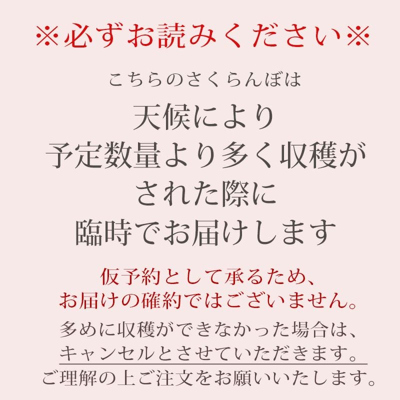 最終受付】これを逃すと1年待ち！山形直送さくらんぼ品種おまかせ500g
