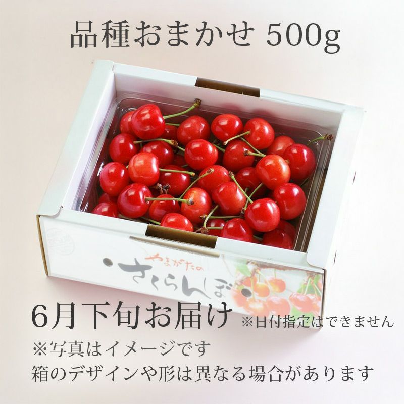 山形さくらんぼ収穫待ち注文予約｜しゅうかくまち佐藤錦を産地直送でお