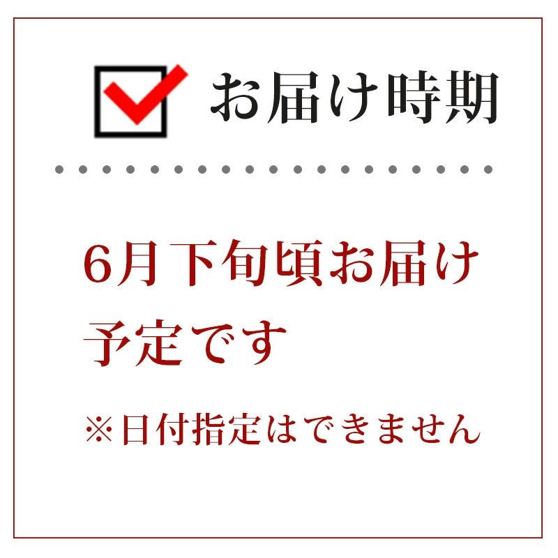 最終受付】これを逃すと1年待ち！山形直送さくらんぼ品種おまかせ500g