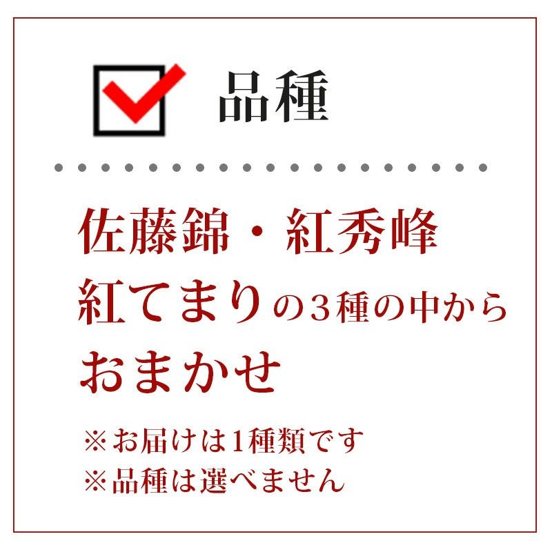 最終受付】これを逃すと1年待ち！山形直送さくらんぼ品種おまかせ500g