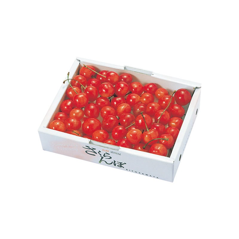 温室そだち 佐藤錦 さくらんぼ バラ詰め L 350g 4月下旬～5月初旬