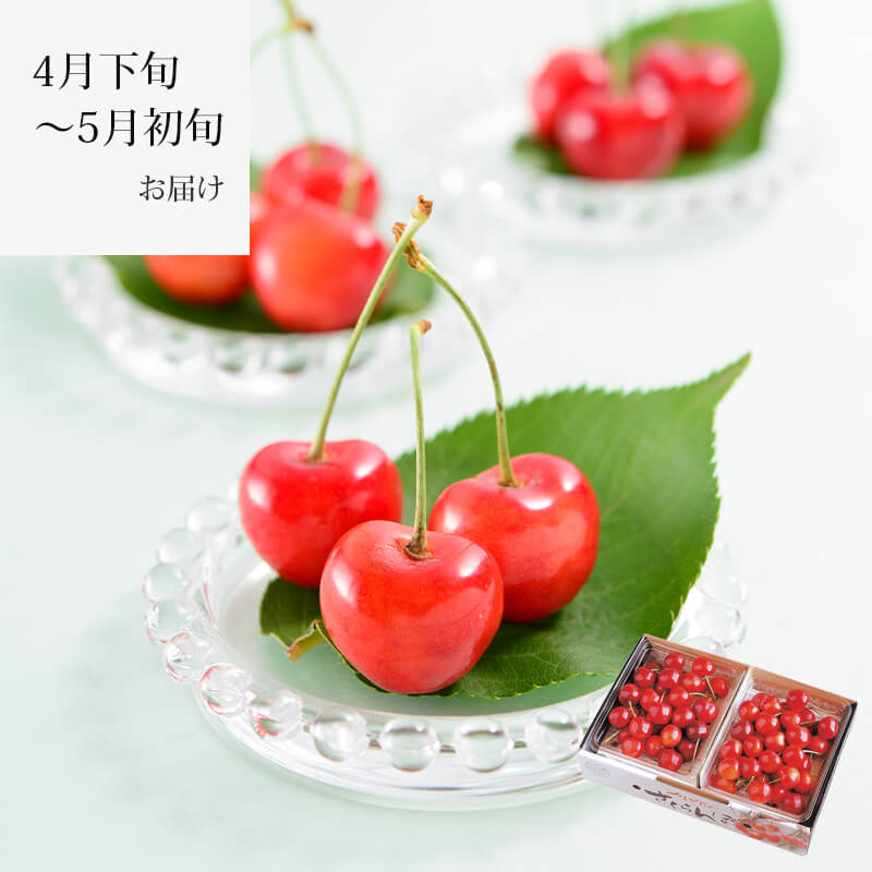 000000003027-01.jpg?size=m&w=