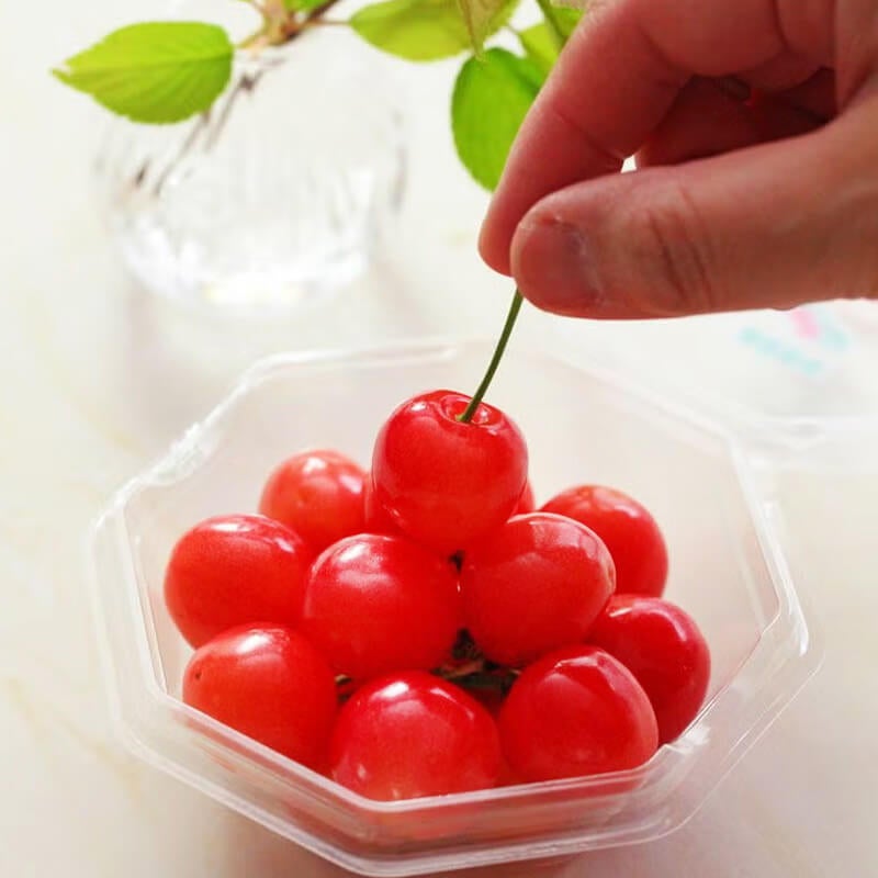 山形さくらんぼチケット (温室そだち 佐藤錦 さくらんぼ L 100g×2パック 4月下旬～6月上旬お届け)