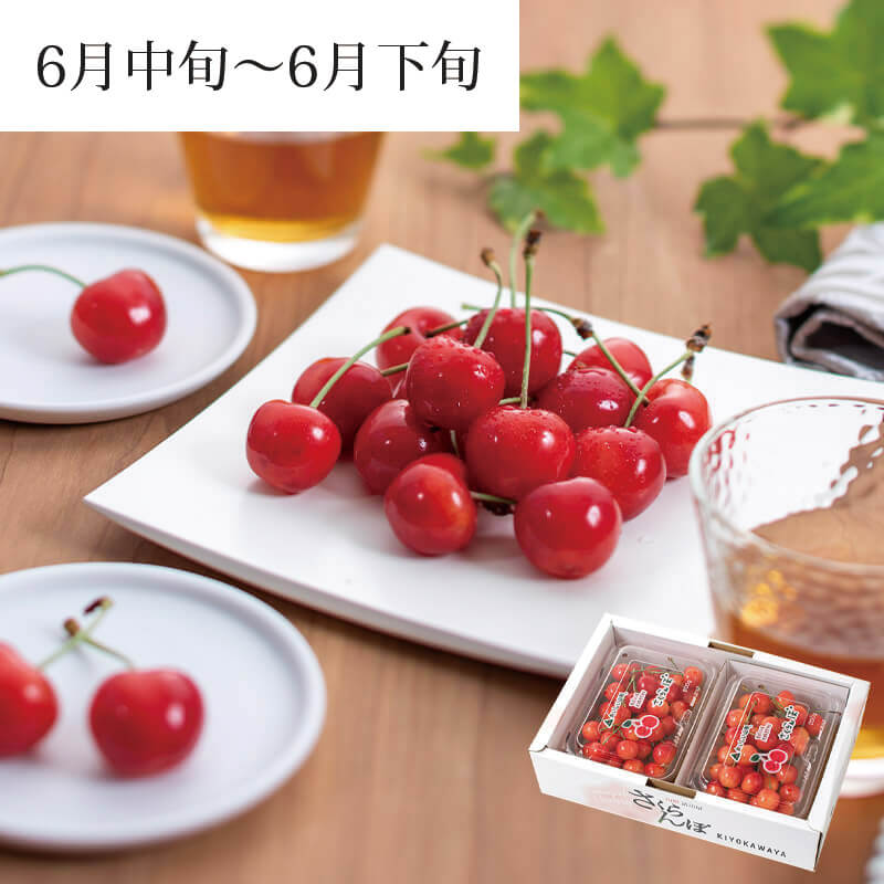 紅秀峰 200g×2パック 2026予約｜1.7万箱超の実績：山形さくらんぼ清川屋