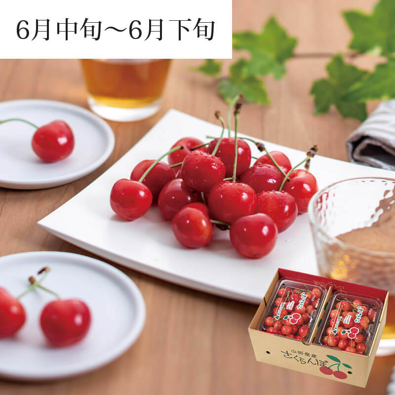 紅秀峰 200g×4パック 2026予約｜1.7万箱超の実績：山形さくらんぼ清川屋