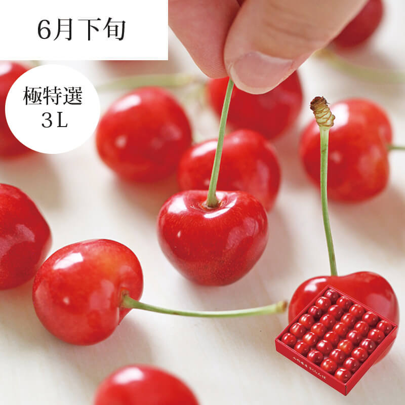 やまがた紅王 特選 パック詰め 3L 100g×2パック 世界最大級の超大玉