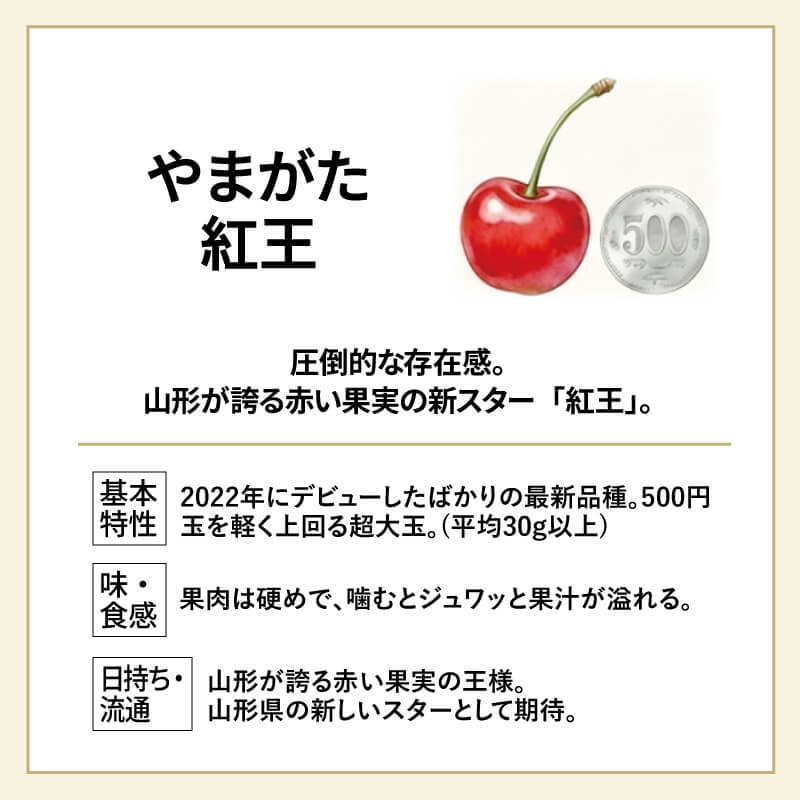 やまがた紅王 特選 パック詰め 3L 100g×2パック 世界最大級の超大玉